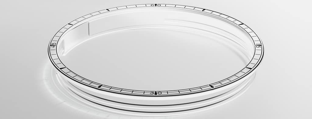 Close-up of an empty sapphire crystal watch bezel with engraved hour markers.