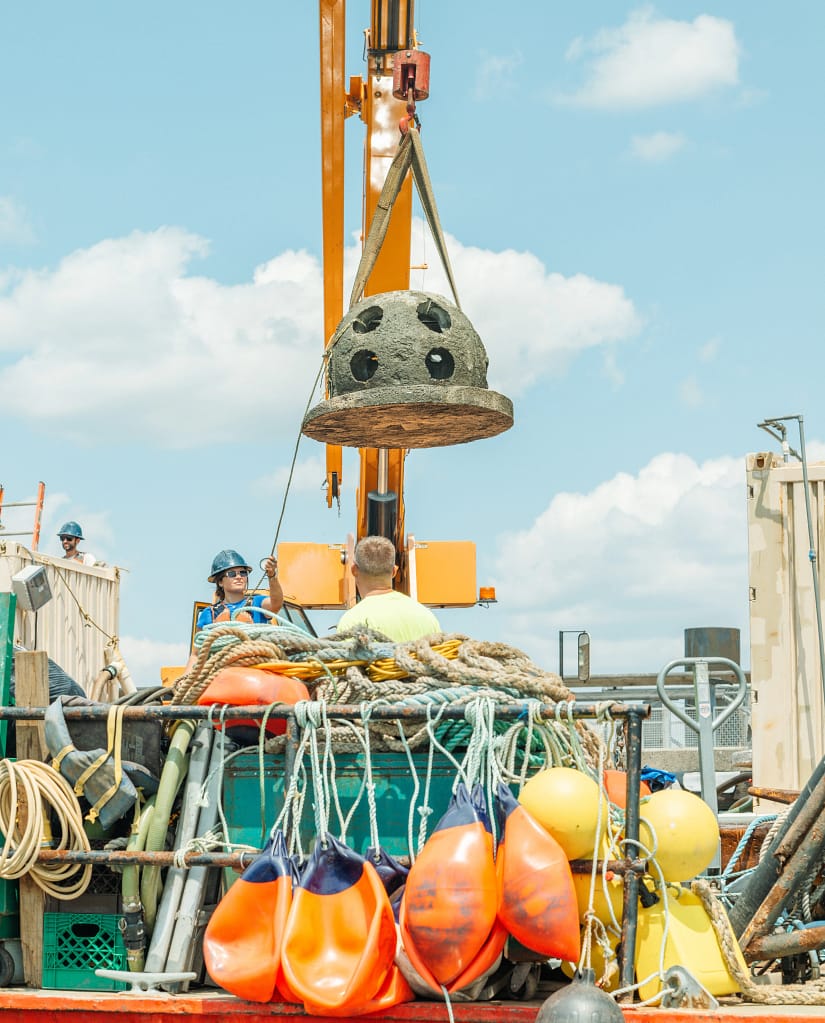 Volunteers on board a ship preparing to lower a seeded oyster bed into the water.