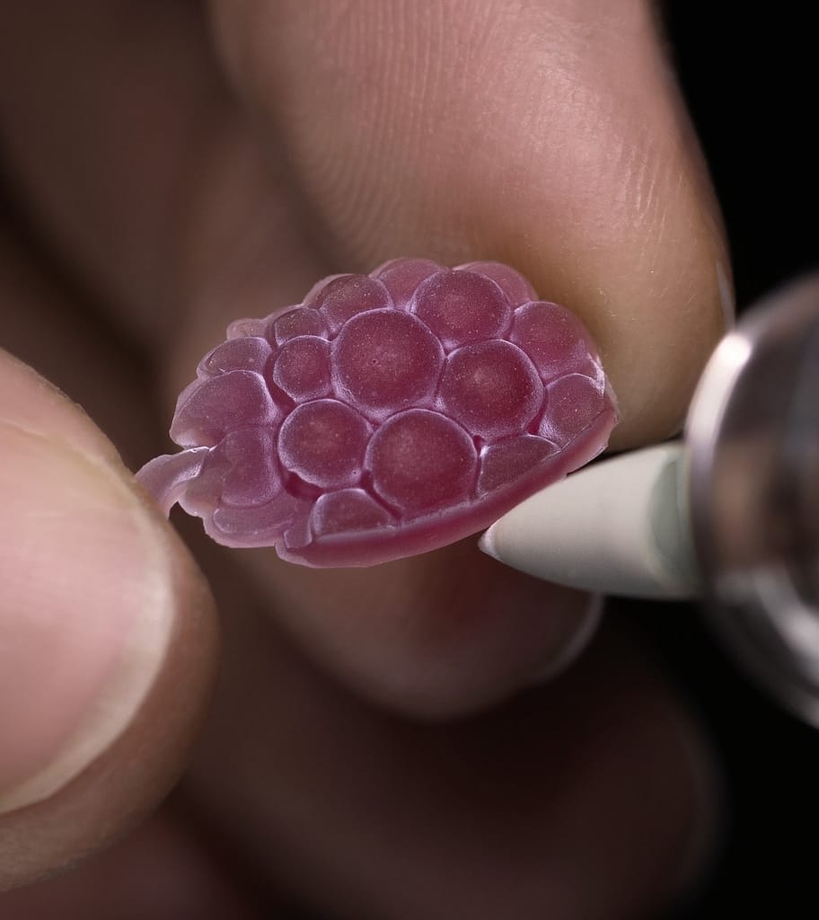 Hand polishing the new Van Cleef & Arpels Perlée Extraordinaire Fruits Enchantés raspberry watch.